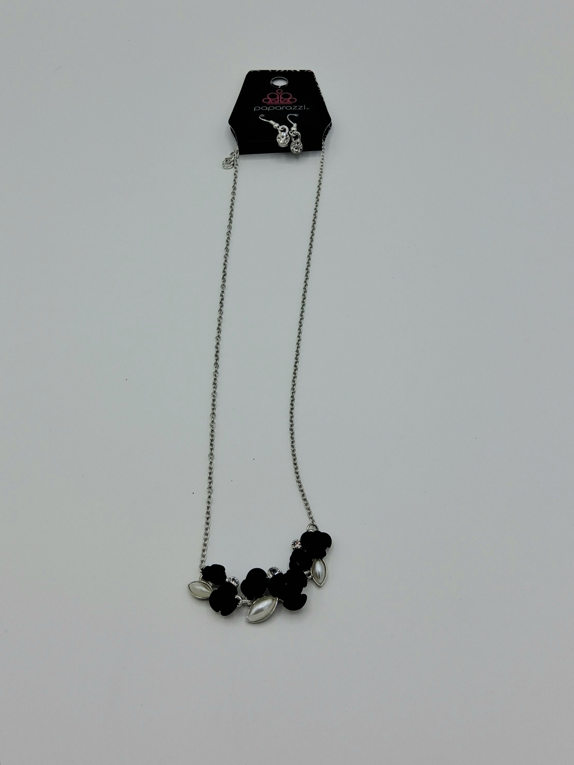 Paparazzi Necklace & Earring Set– New