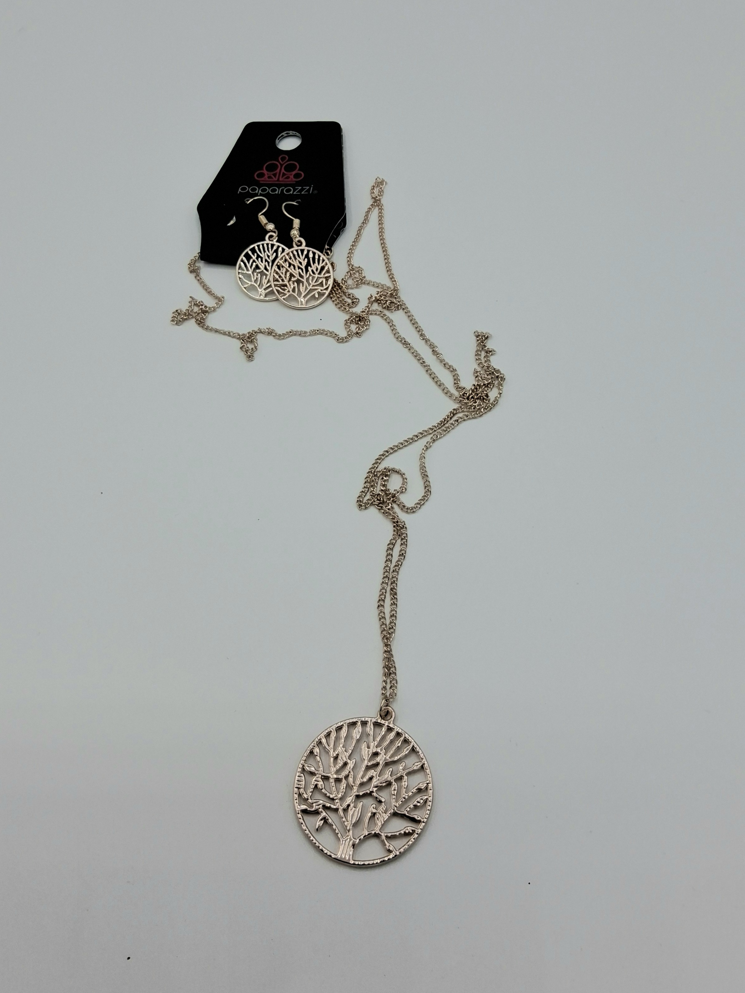 Paparazzi Necklace & Earring Set– New
