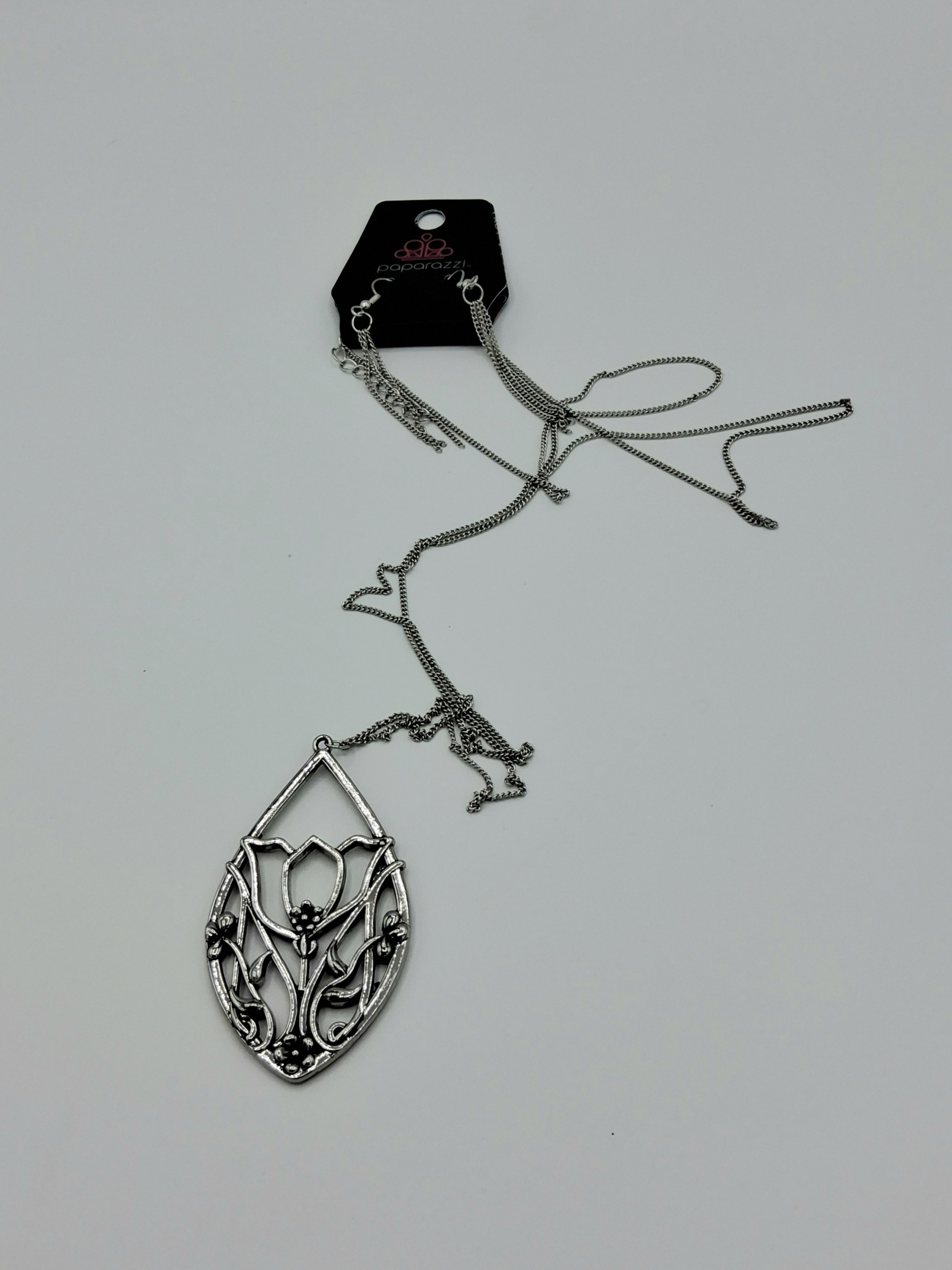 Paparazzi Necklace & Earring Set– New